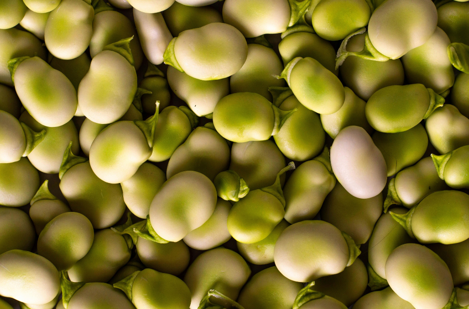 Ensalada de habas frescas con salsa de chalotas